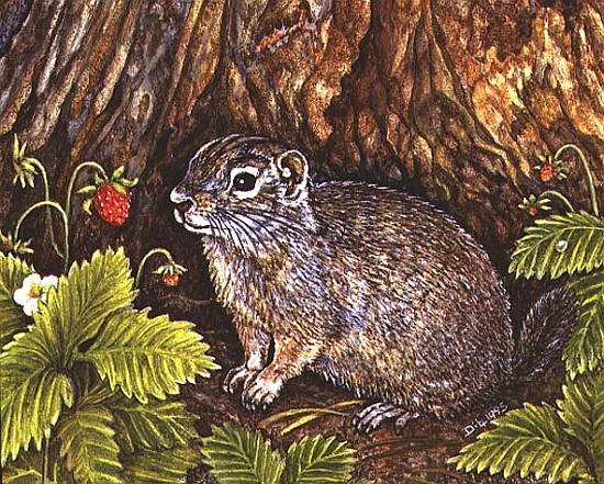 Eagle Creek, Wild Strawberry, Ground Squirrel, 1995 (acrylic on panel)  à Ditz 