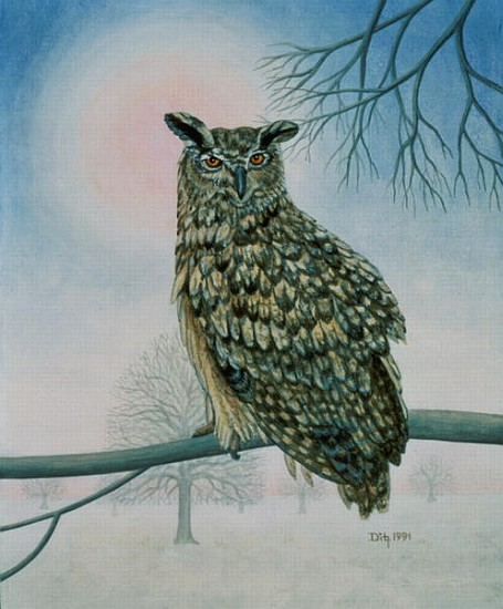 Winter-Owl  à Ditz 