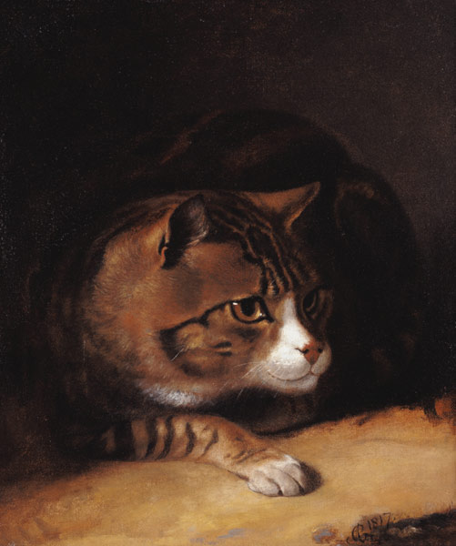 A Tabby Cat à Abraham Cooper