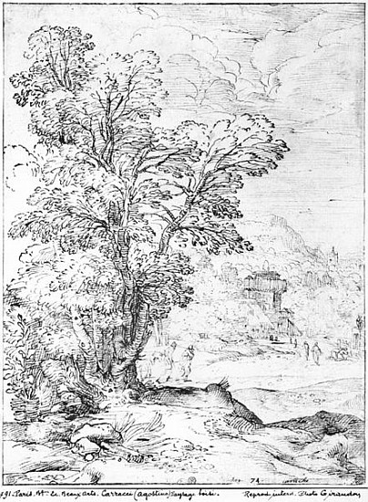 Wooded landscape à Agostino Carracci
