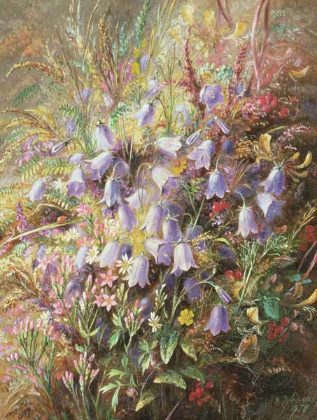 Harebells & other Woodland Flowers & Grasses à Albert Durer Lucas