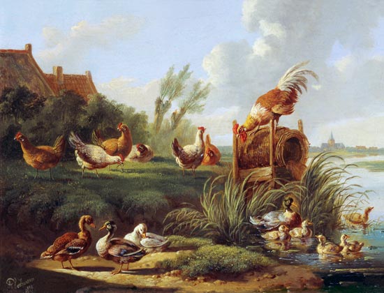 Ducks and Fowl on a Riverbank à Albertus Verhoesen
