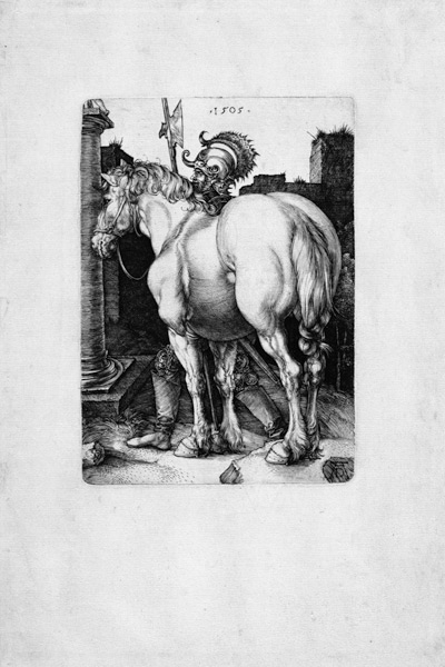 Das große Pferd à Albrecht Dürer
