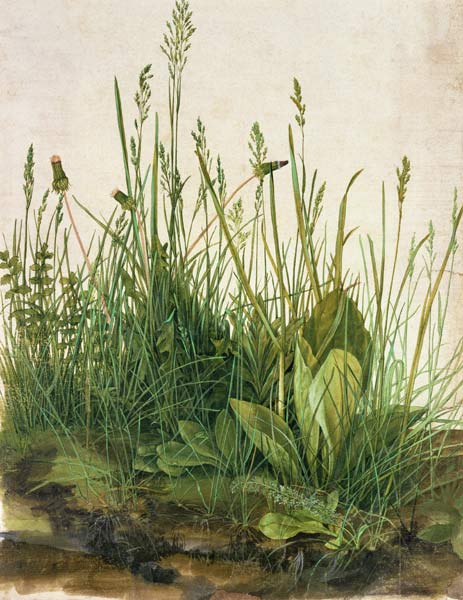 La grande touffe d'herbes à Albrecht Dürer