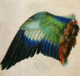 Aile d'un oiseau 1512