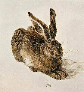 Un jeune lièvre des champs - Albrecht Dürer