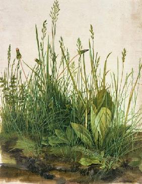 La grande touffe d'herbes - Albrecht Dürer