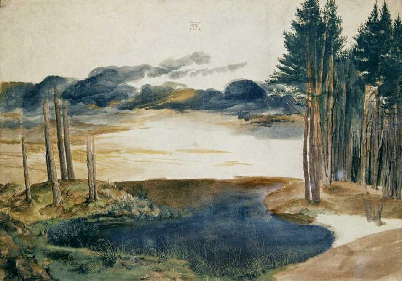 Weiher im Wald à Albrecht Dürer