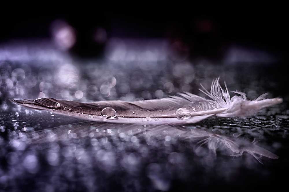 Feather and Drop II à Alessandro Fabiano