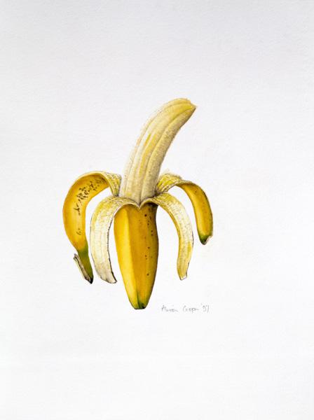 Une banane à moitié pelée