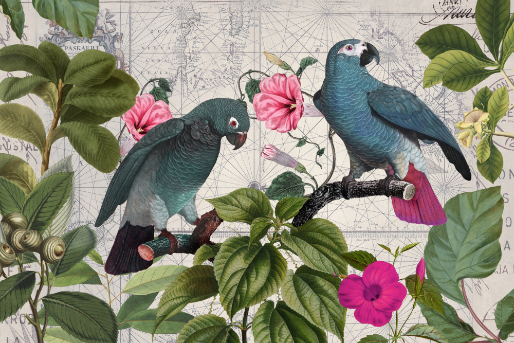 Parrots Nostalgic Journey Kopie à Andrea Haase
