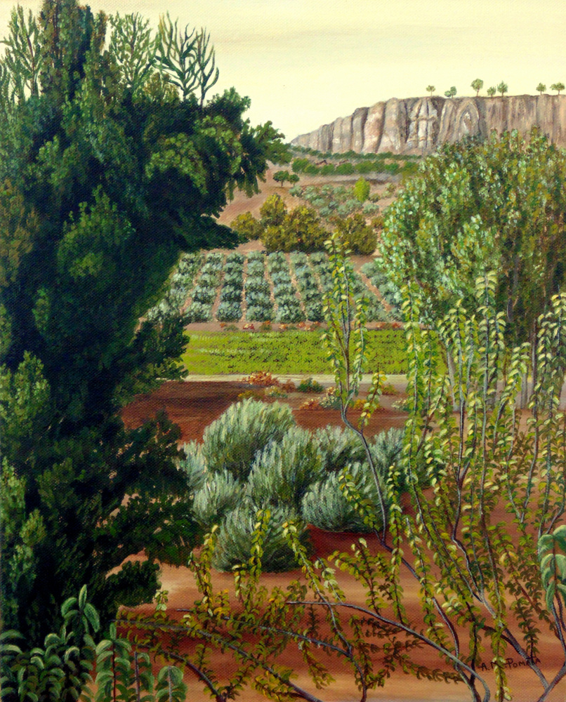 High Mountain Olive Trees à Angeles M. Pomata
