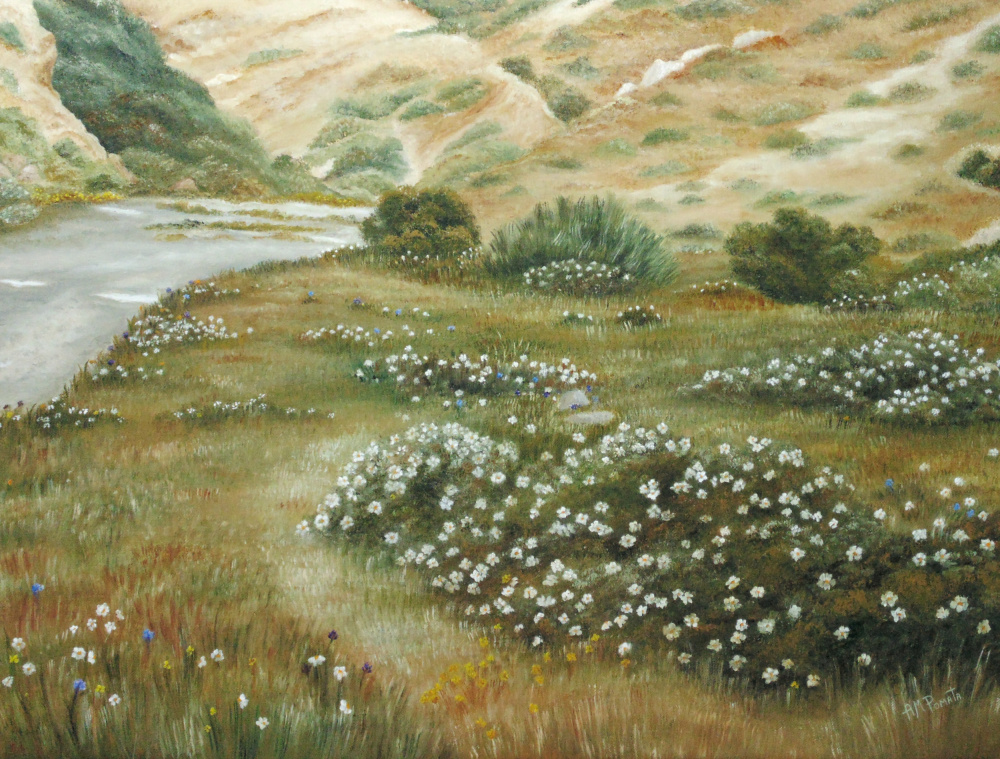 Path of Flowers à Angeles M. Pomata