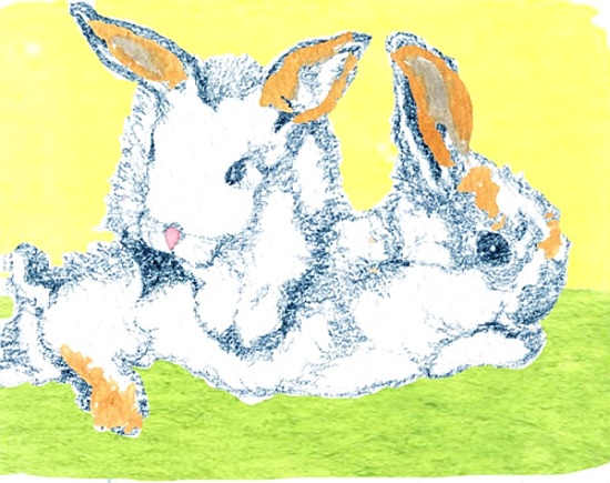 Easter Bunnies à  Anna  Platts