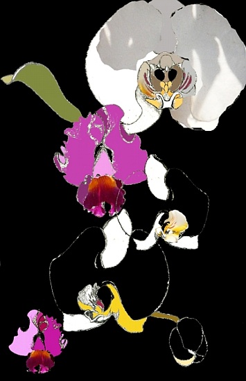 Orchid à  Anna  Platts