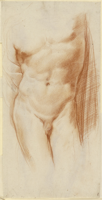 Nude of a boy à Annibale Carracci, dit Carrache