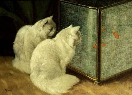White Cats Watching Goldfish à Arthur Heyer