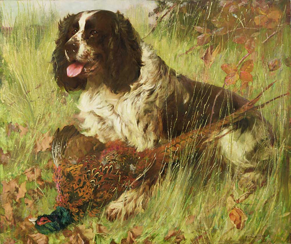Springer Spaniel with Pheasant à Arthur Wardle
