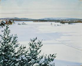 Paysage d'hiver ensoleillé (la Suède)