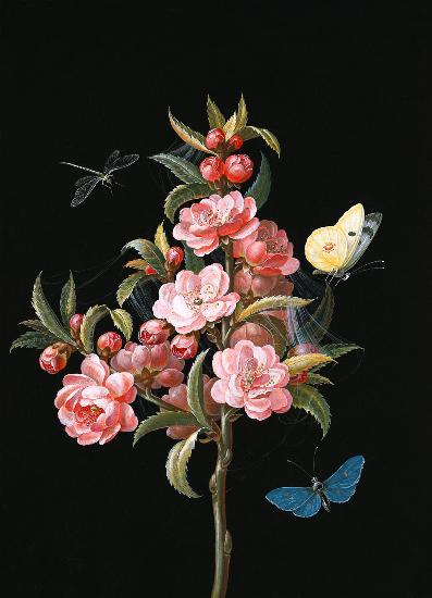 cerise japonaise avec la libellule et des papillons