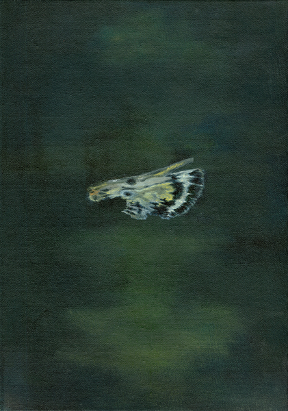 Moth Wing à Bella Larsson