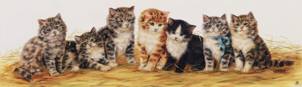 Seven Kittens à Betsy Bamber