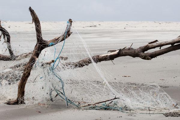 Punta Chame Netze (Panama)