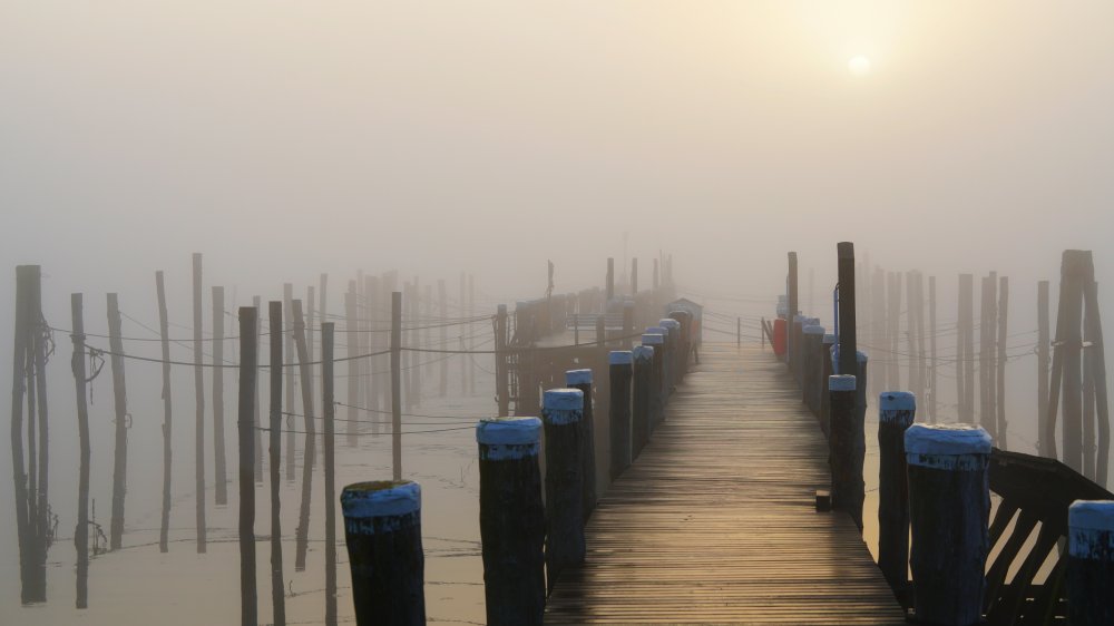 Golden fog at the lonely pier à Bodo Balzer
