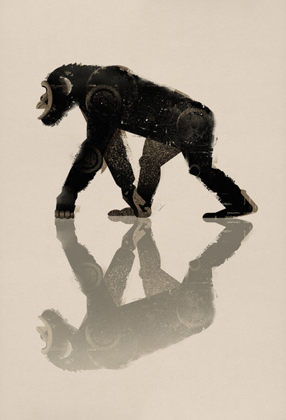 Chimpanzé à Dieter Braun