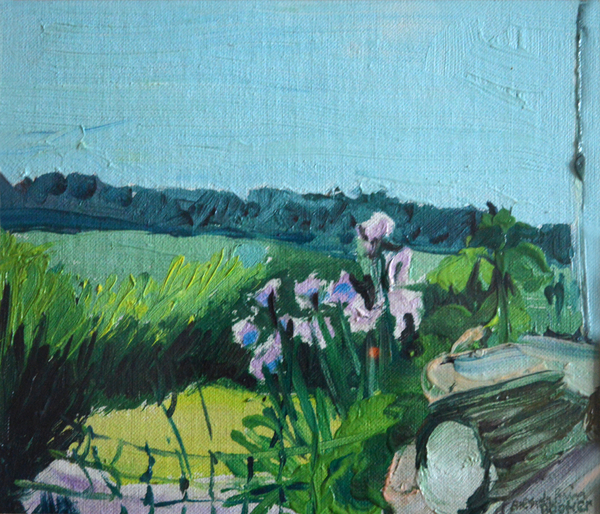 Irises in the Garden à Brenda Brin  Booker