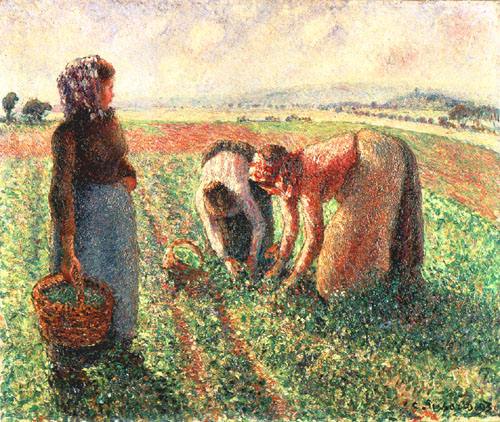 La récolte de pois, Eragny à Camille Pissarro