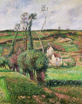 The Cabbage Slopes, Pontoise