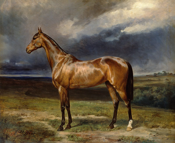 'Abdul Medschid' the chestnut arab horse à Carl Constantin Steffeck