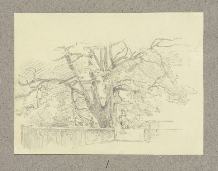 Alter Baum, umgeben von Mäuerchen à Carl Theodor Reiffenstein