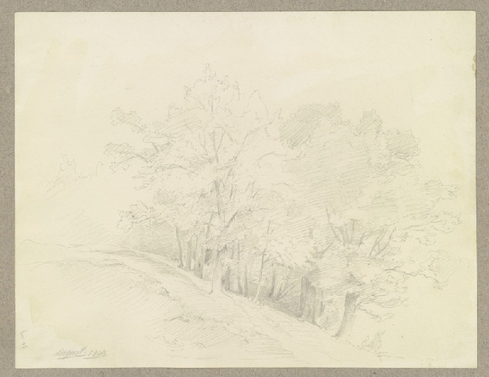 Tree-covered grove à Carl Theodor Reiffenstein