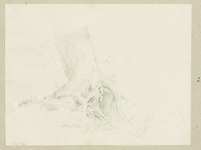 Freiliegendes Wurzelwerk eines Baumes à Carl Theodor Reiffenstein