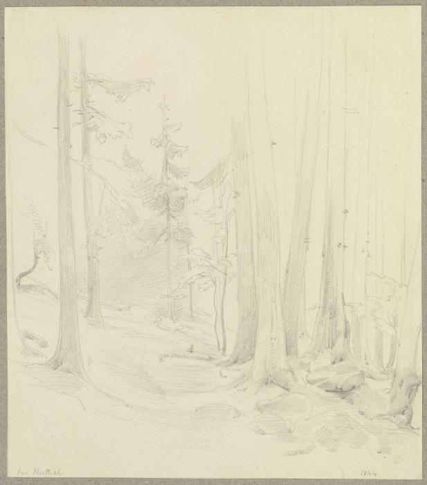 Waldstück im Ilsetal im Harz à Carl Theodor Reiffenstein