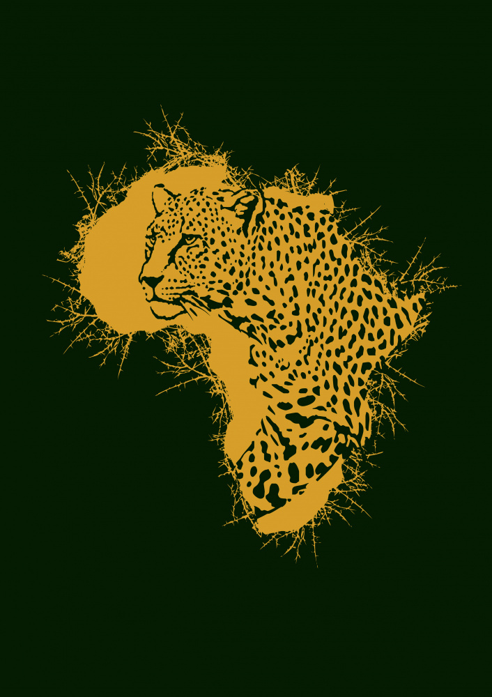 Leopard Thorny Africa à Carlo Kaminski