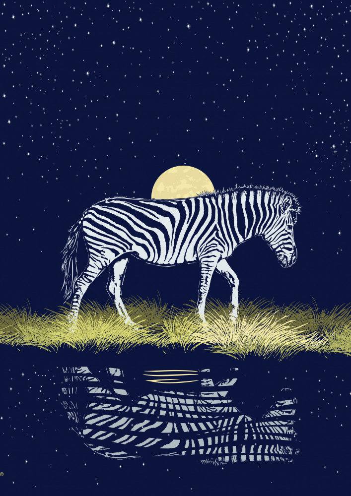Zebra at Waterhole Moonrise à Carlo Kaminski