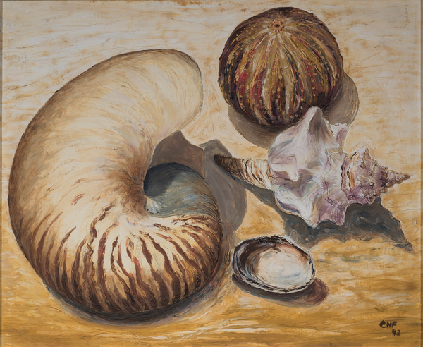 Seashells à Carolyn  Hubbard-Ford