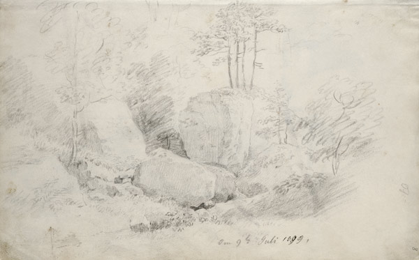 Boulders in Woodland à Caspar David Friedrich