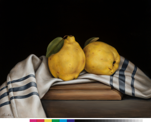 Still Life with Quinces à Catherine  Abel