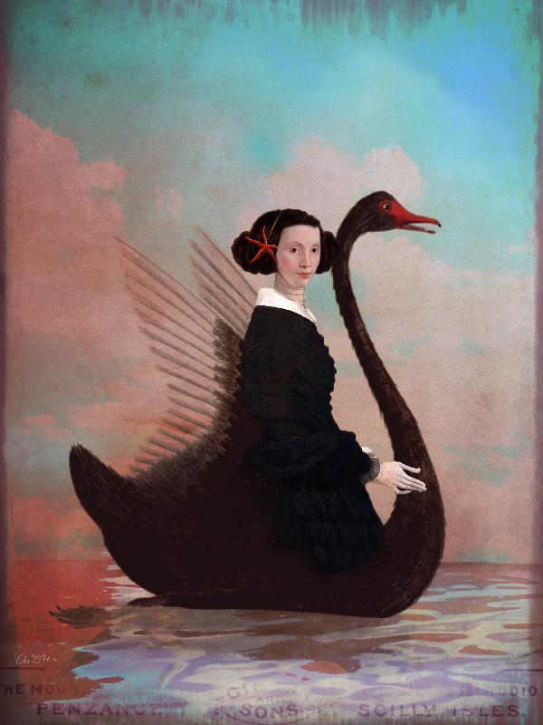 Black Swan à Catrin Welz-Stein
