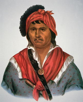 Neamathla Chief, 1826 (colour litho) à Charles Bird King