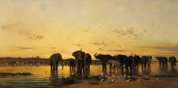 African Elephants à Charles Emile de Tournemine
