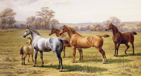 Horses and Foal in a Field à Charles Jones