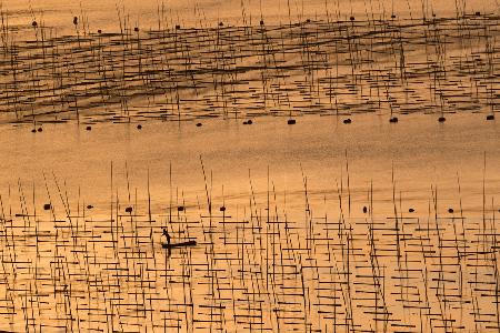 An aquaculture farmer and his farm under sunset