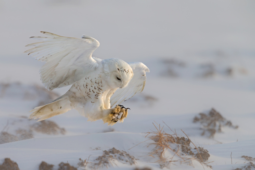 Landing à Cheng Chang