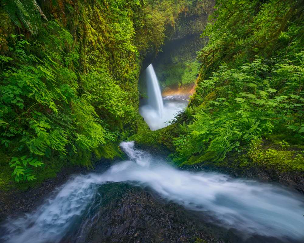 Rainbow in the Mist à Chris Moore