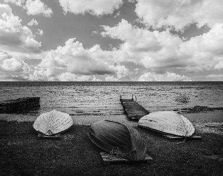 By the shore